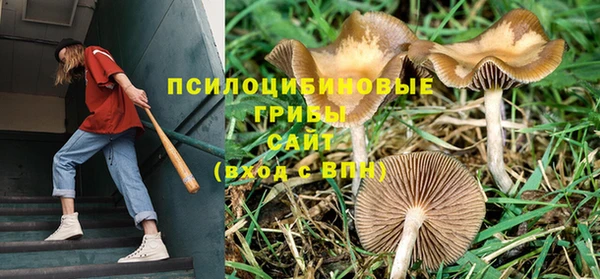 амф Белокуриха